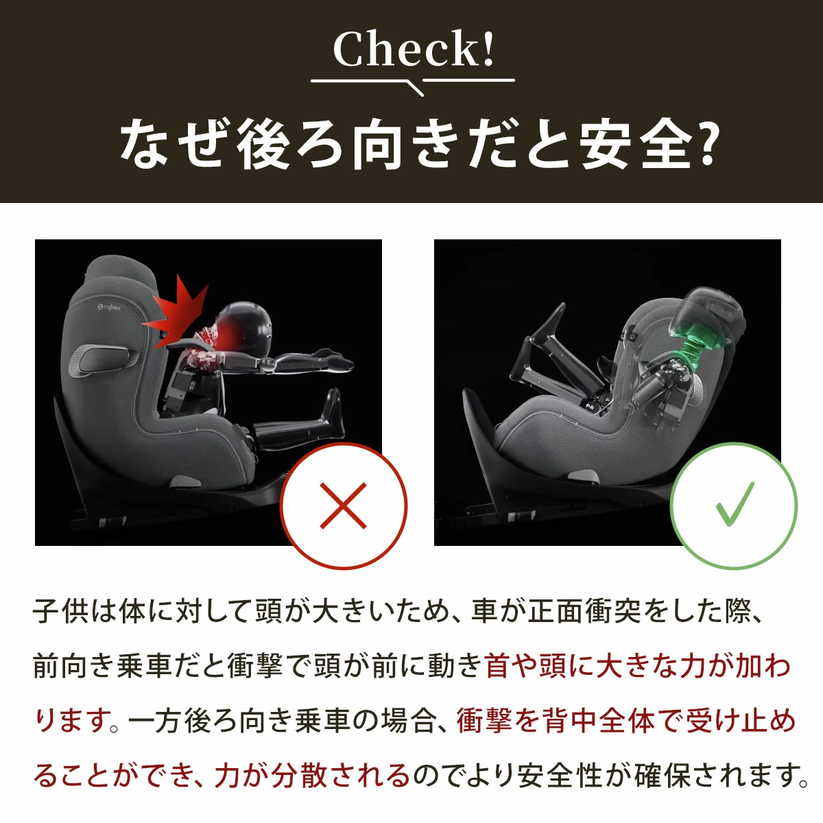 cybex �����٥å��� �������� T ���������� / �ߥ顼���奰�졼�ץ饹