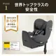 cybex �����٥å��� �������� T ���������� / �ߥ顼���奰�졼�ץ饹