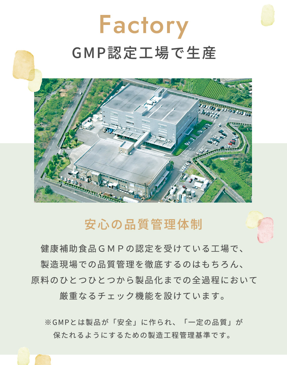 10mois �ǥ���� �ޥߡ����ߡ� 6�ĥ��å� / �ץ졼��̣