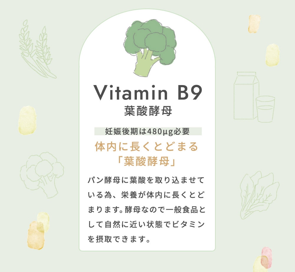 10mois �ǥ���� �ޥߡ����ߡ� 6�ĥ��å� / �ץ졼��̣