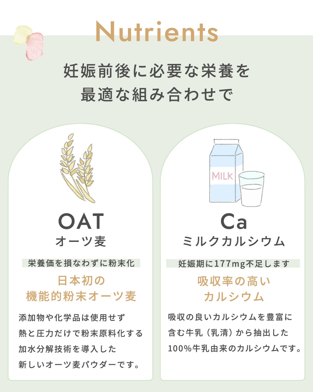 10mois �ǥ���� �ޥߡ����ߡ� 6�ĥ��å� / �ץ졼��̣