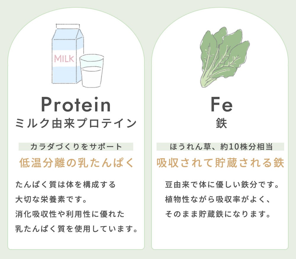 10mois �ǥ���� �ޥߡ����ߡ� 6�ĥ��å� / ������̣