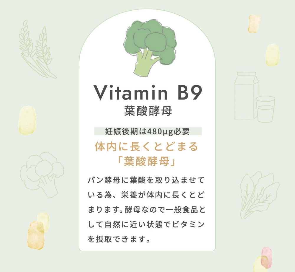 10mois �ǥ���� �ޥߡ����ߡ� 6�ĥ��å� / ������̣