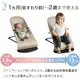 BabyBjorn �٥ӡ��ӥ��� �Х�󥹥��ե� Air / ����С��ۥ磻��