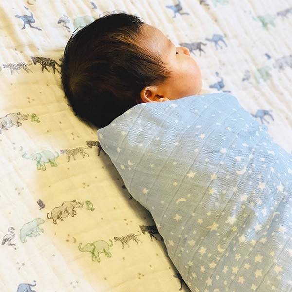 Aden&Anais �����ǥ󥢥�ɥ��ͥ� ���åȥ� �⥹��� ����ɥ� 2������ / �饤���󥰥�����