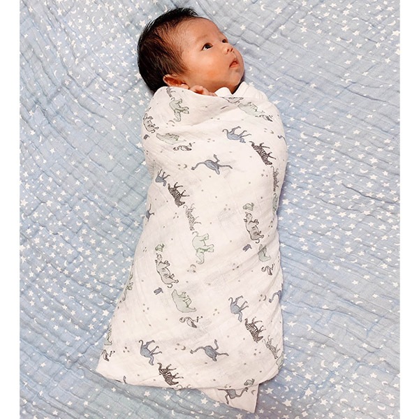 Aden&Anais �����ǥ󥢥�ɥ��ͥ� ���åȥ� �⥹��� ����ɥ� 2������ / �饤���󥰥�����