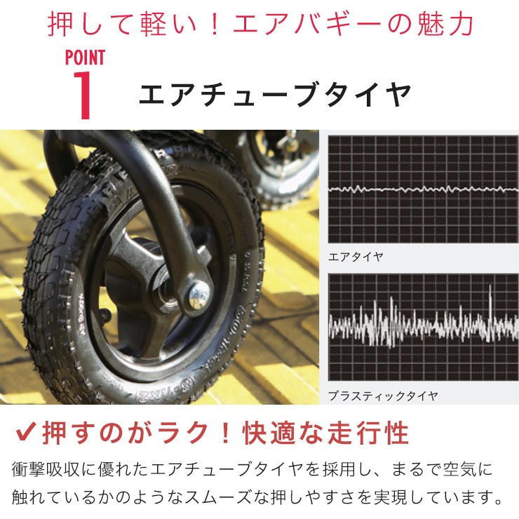 エアバギー AirBuggy ココ プレミアフロムバース グラスグリーン