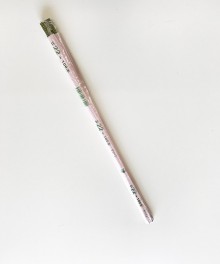 �磻�䡼�ϴ������꡼���22