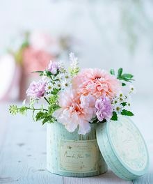 �ܥå�������󥸥��å�ABO00005