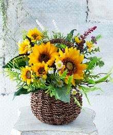 �ҥޥ�ꡦ���եȥ���󥸥��å�AGI00015