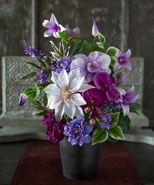 �������֥��å�AFU00008