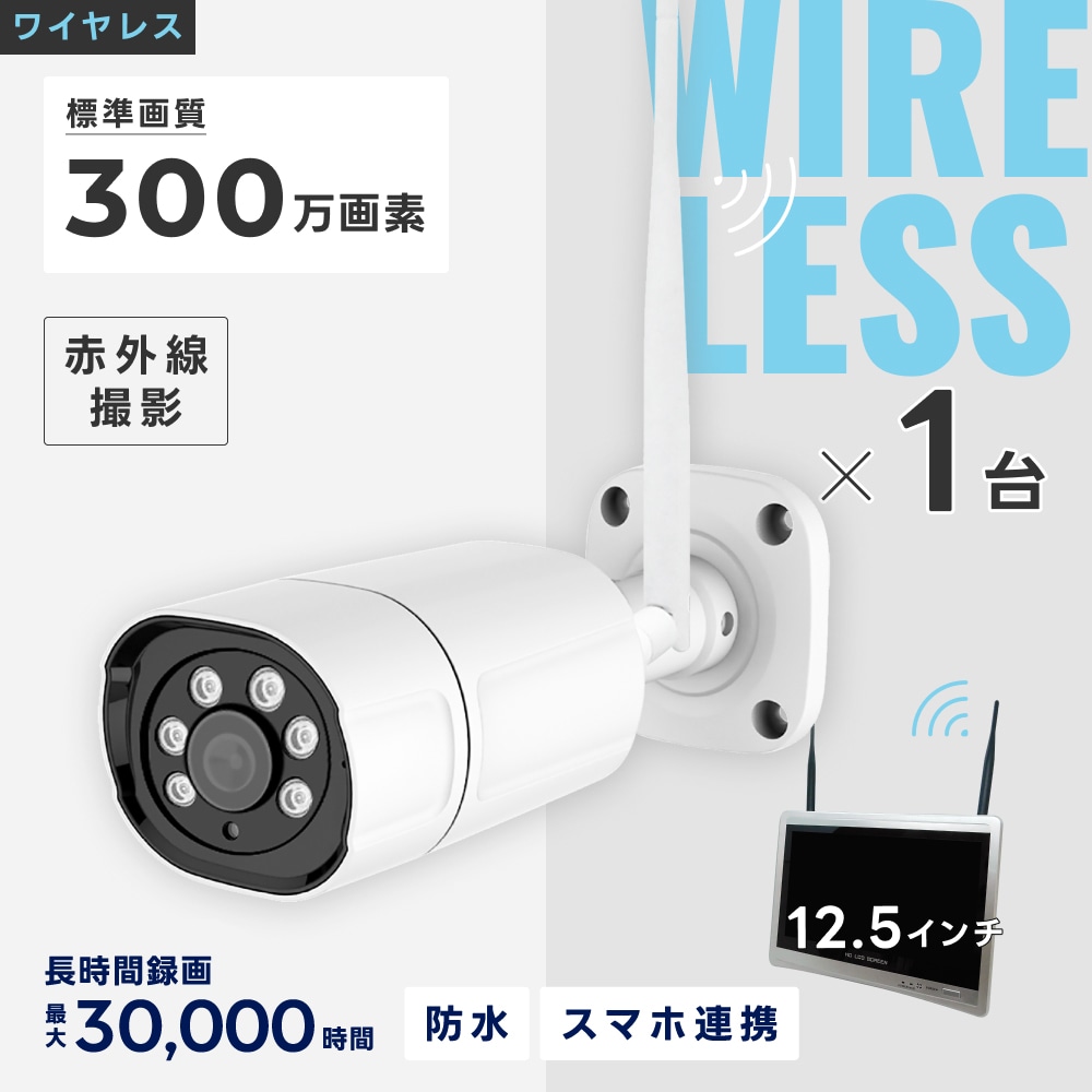 ワイヤレス300万画素(1台)カメラ・12.5インチモニター録画機(1TB付)一
