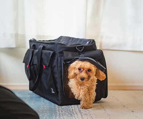 BROPET CARRY BAG | ブランドで選ぶ,rin project(リン
