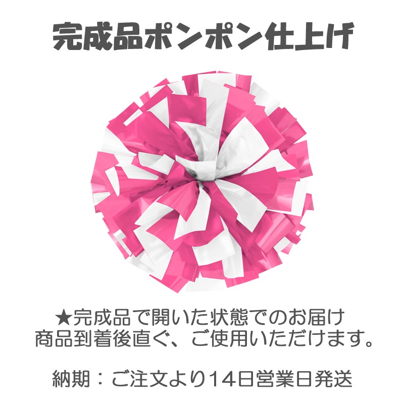 �̥��������ȥ饤���顼���顼�ݥ�ݥ󡡻�����Ҥ���