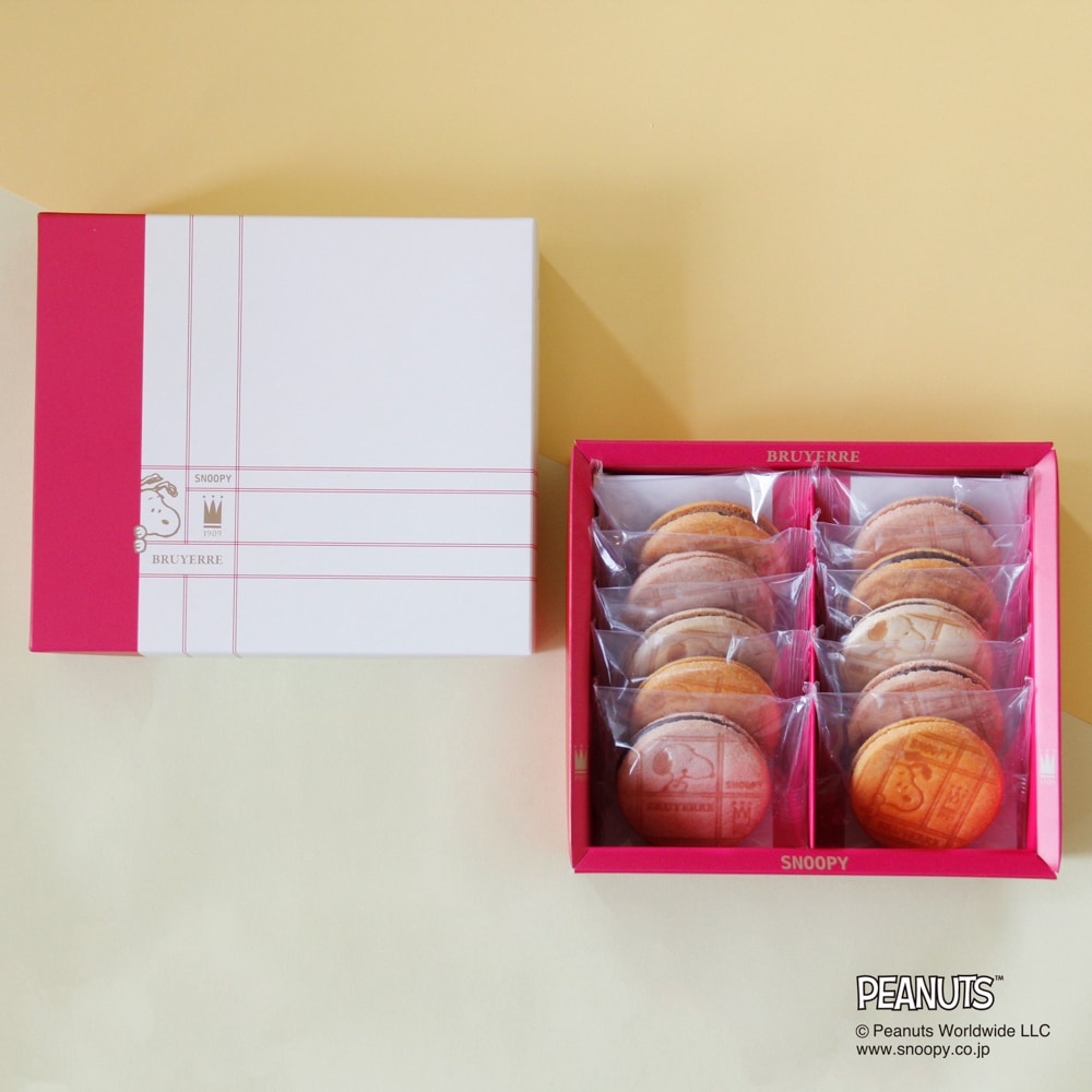 スヌーピー meets ブリュイエール ビスキュイサンド アンサンブル 10