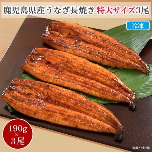 鹿児島県産うなぎ長焼き特大サイズ 3尾セット | すべての商品 | BS朝日