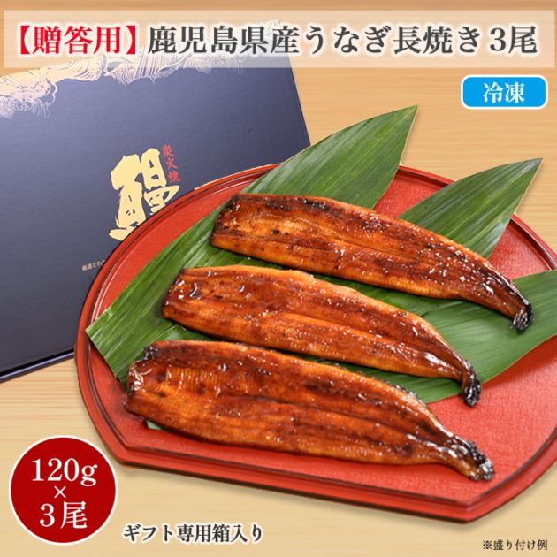 贈答用】鹿児島県産うなぎ長焼き 3尾セット | 番組で探す,おかだ＆磯山