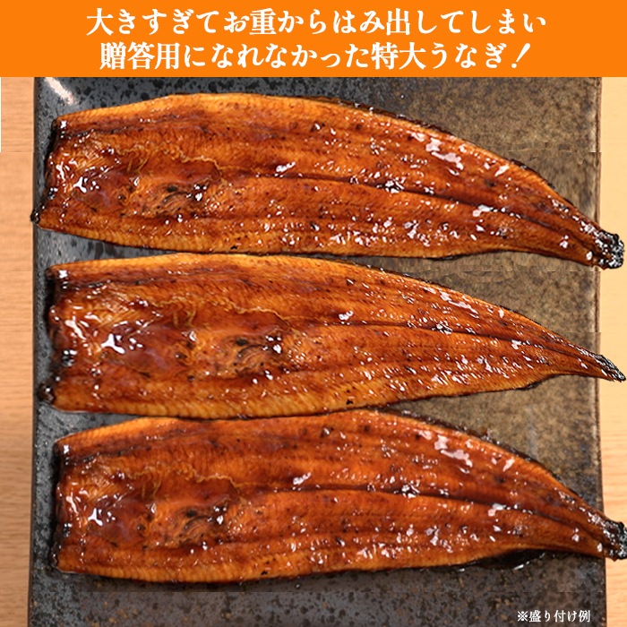 鹿児島県産うなぎ長焼き特大サイズ 3尾セット