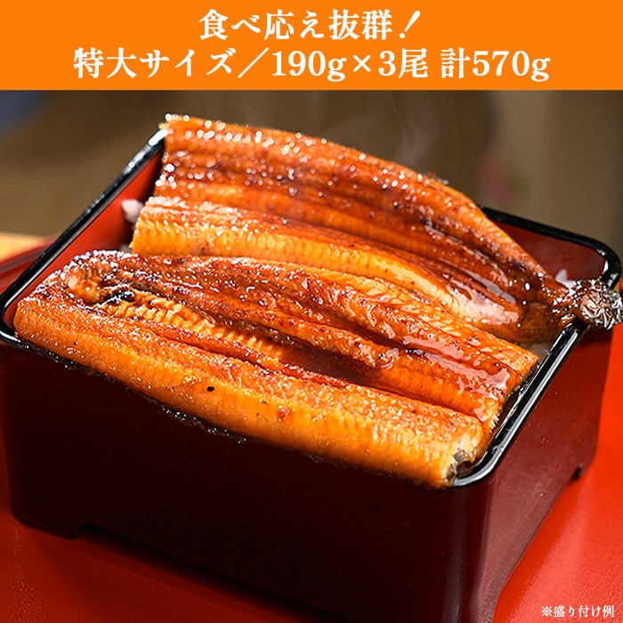 鹿児島県産うなぎ長焼き特大サイズ 3尾セット