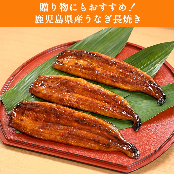 【贈答用】鹿児島県産うなぎ長焼き 3尾セット