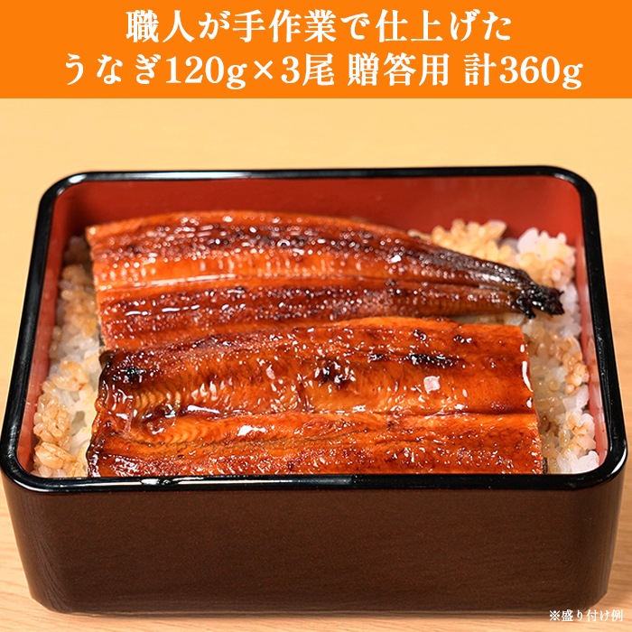 【贈答用】鹿児島県産うなぎ長焼き 3尾セット
