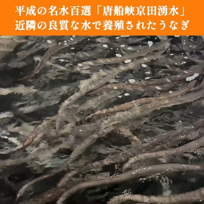 【贈答用】鹿児島県産うなぎ長焼き 3尾セット
