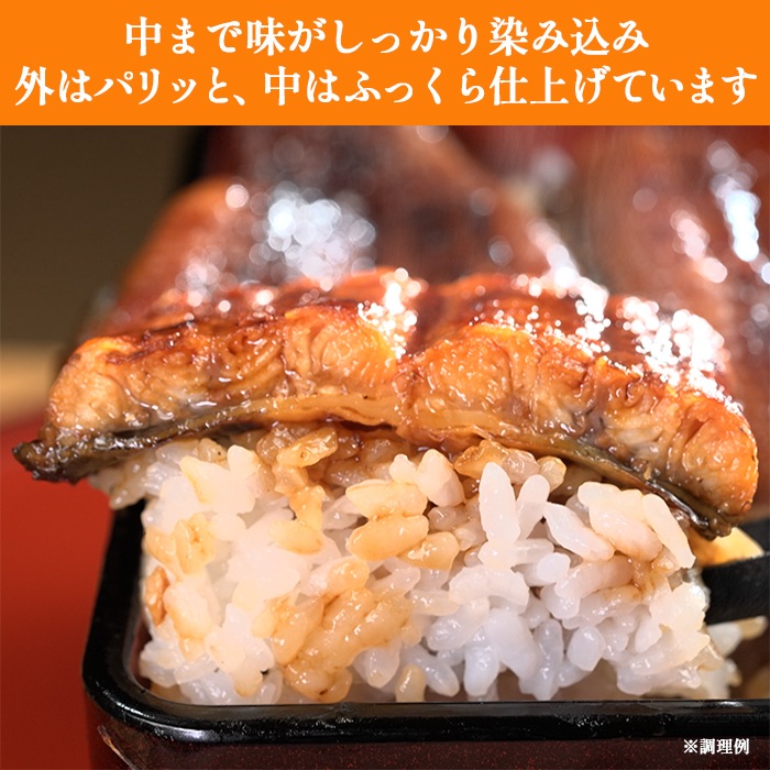 【贈答用】鹿児島県産うなぎ長焼き 3尾セット