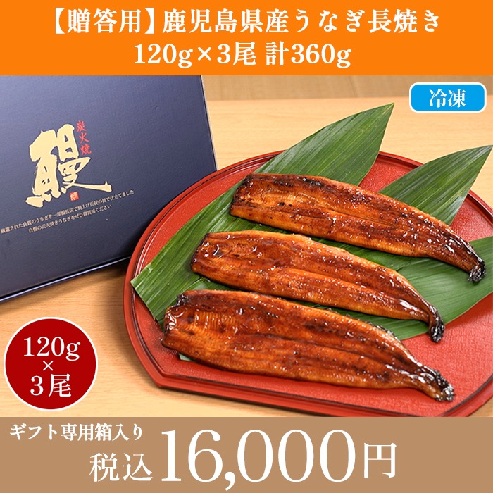 【贈答用】鹿児島県産うなぎ長焼き 3尾セット