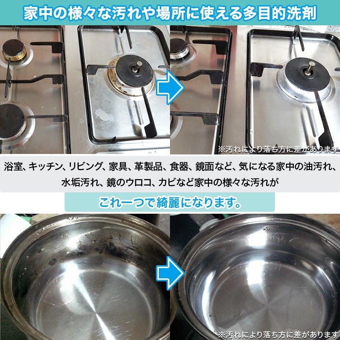 多目的クリーナー ピエール・ダルジャン 2個セット