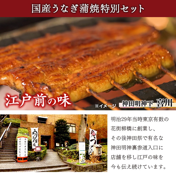 【産直】神田明神下 喜川 国産うなぎ蒲焼11枚セット