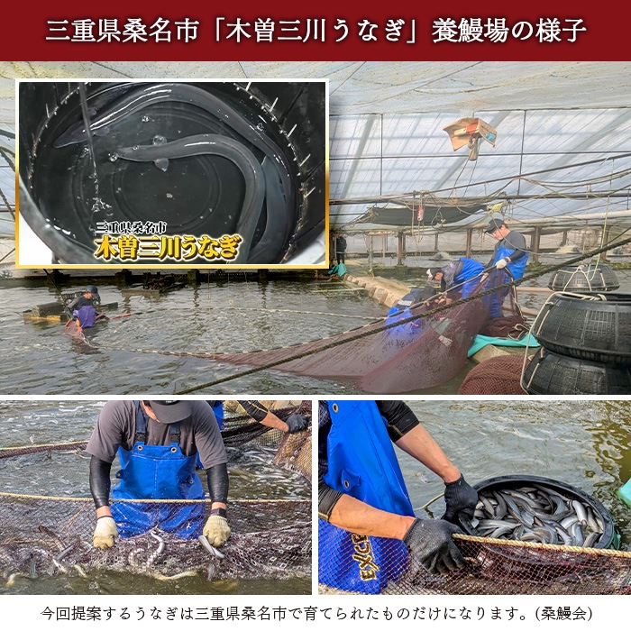 【産直】神田明神下 喜川 国産うなぎ蒲焼11枚セット