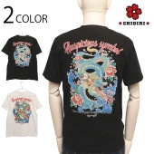 CHIGIRI  ζ  󥯥å  ȾµT  CHS55-594 