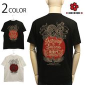 CHIGIRI ������ ��ε�� �� ȾµT����� �� CHS66-591 ��