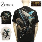 ������ �� ���餯����ޤ��� ���� ��Ƭ�� �� �ɽ� ���� Ⱦµ�ԥ���� �� 262033 ��