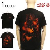 ������ �С��˥󥰥����� ȴ�� T����� �� GS-0013 ��