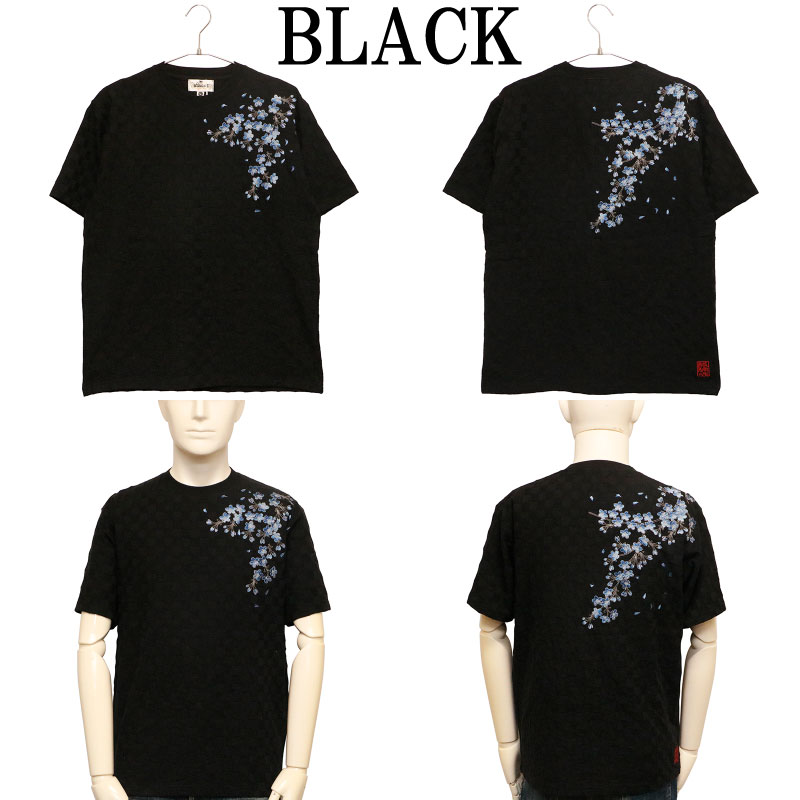 ������ ���餯����ޤ��� �ĺ� �� �ɽ� �֥��å����㥬���� ���� ȾµT����� �� 252053 ��