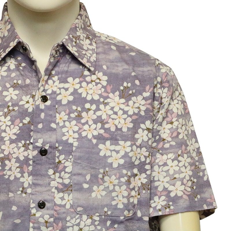 ���Ը��� ���Ȥ��� �� �� �����󥯥��� ���� ���� ���� Ⱦµ ����� �� BSG0020 ��