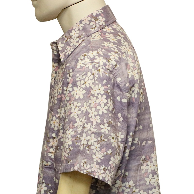 ���Ը��� ���Ȥ��� �� �� �����󥯥��� ���� ���� ���� Ⱦµ ����� �� BSG0020 ��