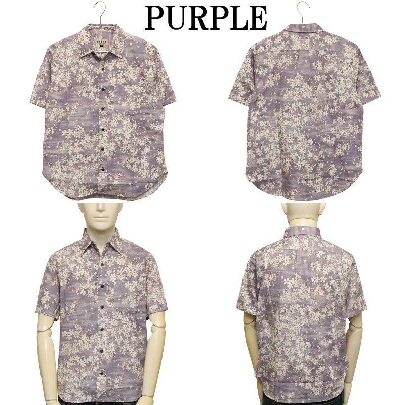 ���Ը��� ���Ȥ��� �� �� �����󥯥��� ���� ���� ���� Ⱦµ ����� �� BSG0020 ��