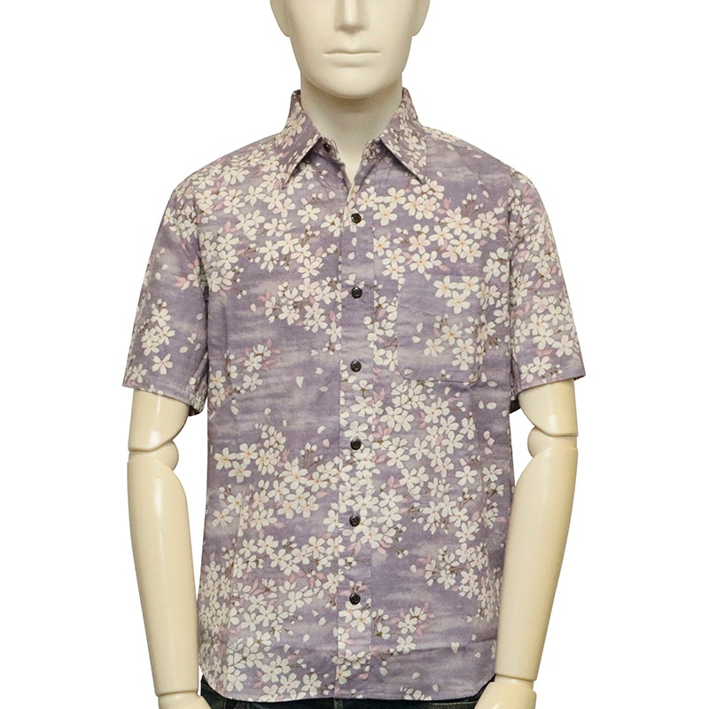 ���Ը��� ���Ȥ��� �� �� �����󥯥��� ���� ���� ���� Ⱦµ ����� �� BSG0020 ��