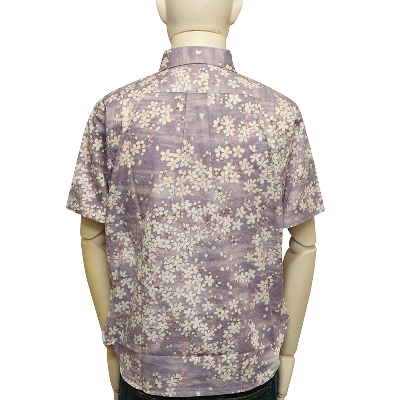 ���Ը��� ���Ȥ��� �� �� �����󥯥��� ���� ���� ���� Ⱦµ ����� �� BSG0020 ��