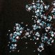 ���Ը��� ���ȥ��� �ޤ�� �� �ɽ� ���� Ĺµ�ԥ���� �� KTLT-001 �� BLACK��BLUE or WHITE