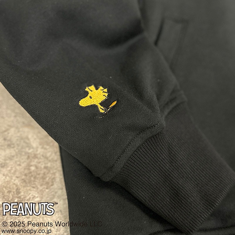 SNOOPY�������� KARATE Ĺµ �ѡ����� �� 254091 ��