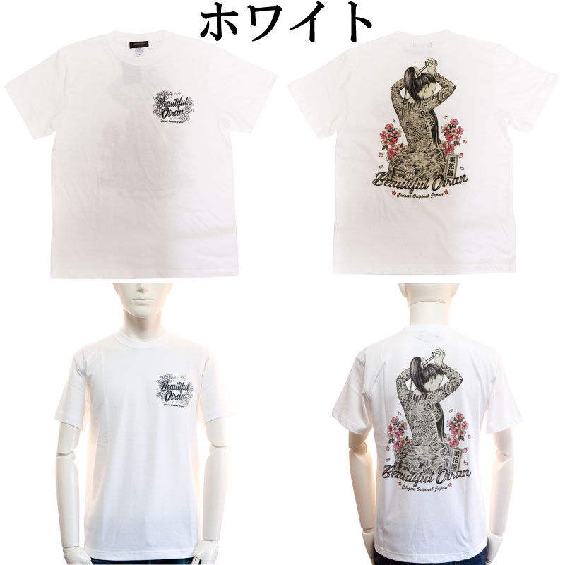 CHGIRI  ֳ  󥯥å ȾµT  CHS50-592 