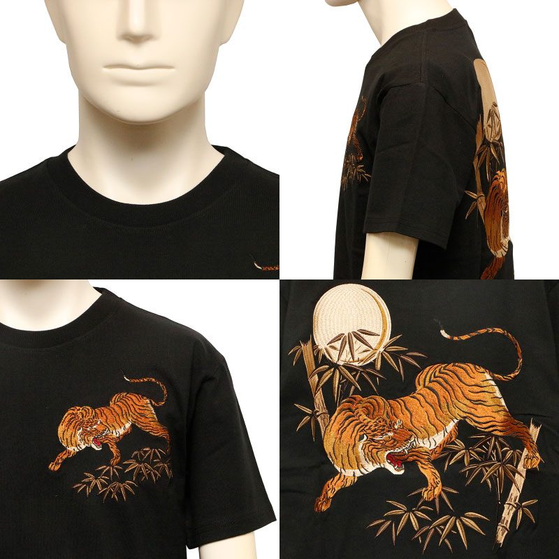 Ը ȥ ݸ  ɽ  Ⱦµԥ  KTST-001 