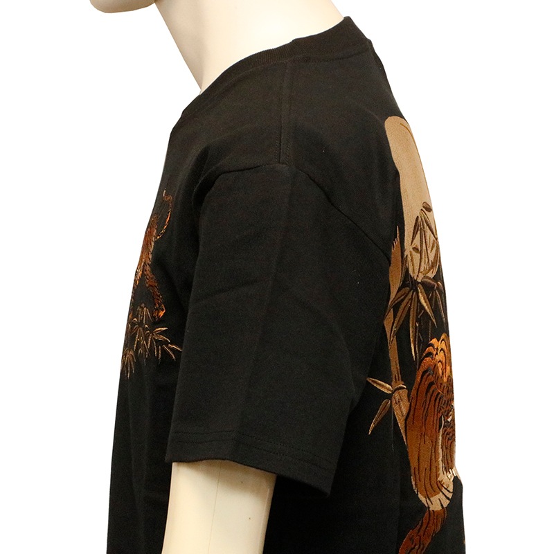 Ը ȥ ݸ  ɽ  Ⱦµԥ  KTST-001 