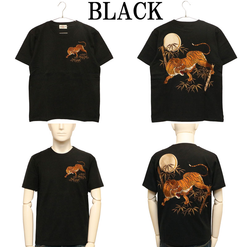 Ը ȥ ݸ  ɽ  Ⱦµԥ  KTST-001 