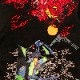  nishiki  EVANGELION 浡VSζ   Ⱦµ T ( 554369 )