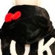Sanrio ����ꥪ �ϥ������ƥ� �ե��� ���㥱�å� �� SRO-2504 �� 