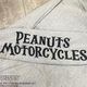 SNOOPY��Flagstaff PEANUTS MOTORCYCLE �ѡ����� �� 453003 ��